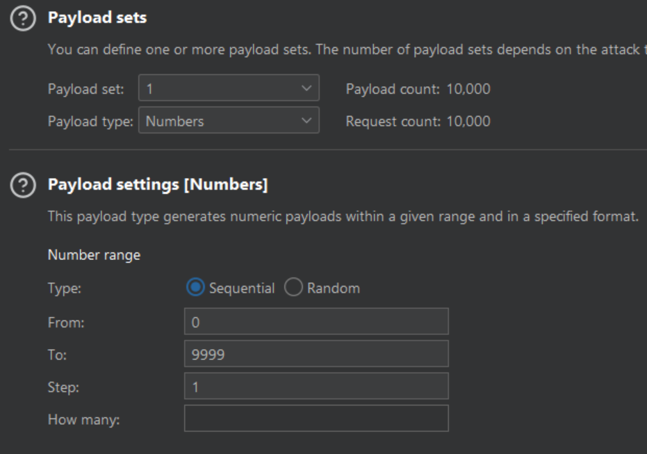 intruder-stepper-payload.webp